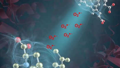 突破性进展!我国科学家发现活性氧超氧阴离子是药物分子合成催化剂