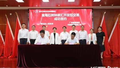 总量最大、数额最高！广东完成全国首宗红树林碳汇开发权交易