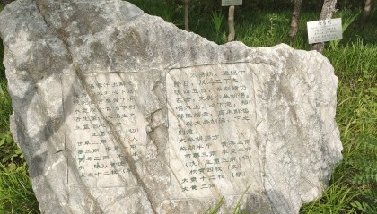 南阳滋养堂国医学校的就业前景