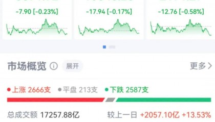 三大指数收跌,沪指盘中一度创年内新高