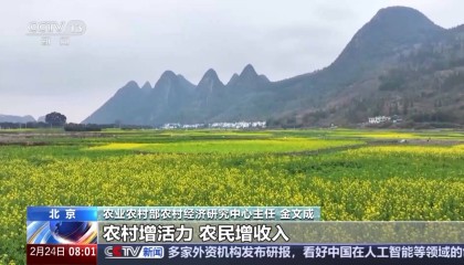 中央一号文件发布 有何新亮点?