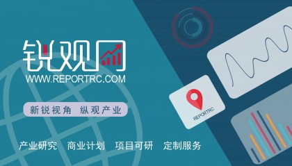 2024-2029年中国虚拟卡口行业市场运行及投资策略咨询报告