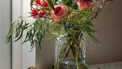 什么是先天,什么是后天