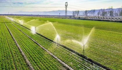 红星观察丨中央一号文件强调两个“不允许”,背后有何考量?