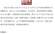武汉发布暴雨临灾警报！武大校门被淹一米深