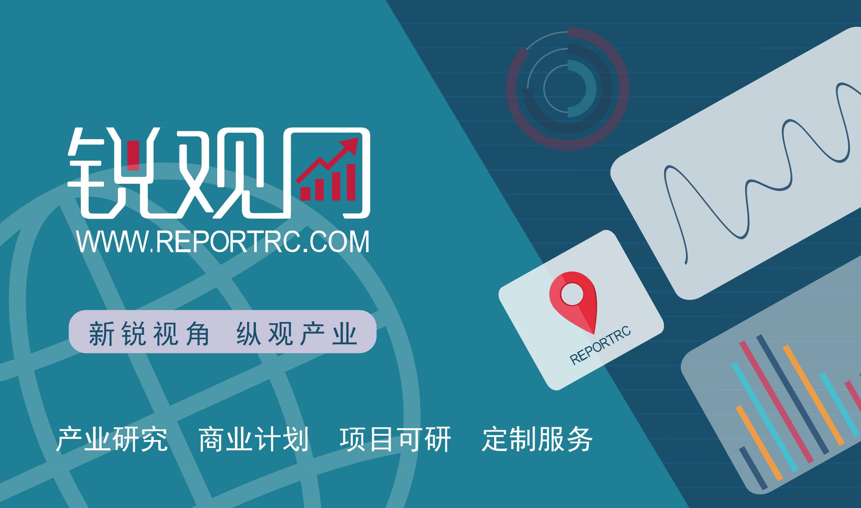 2024-2029年中国虚拟卡口行业市场运行及投资策略咨询报告