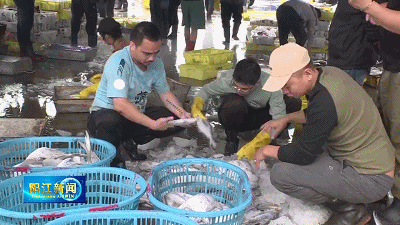 蓝色崛起阳江行｜闸坡国际海产交易市场：努力打造权威的渔业行业交易平台