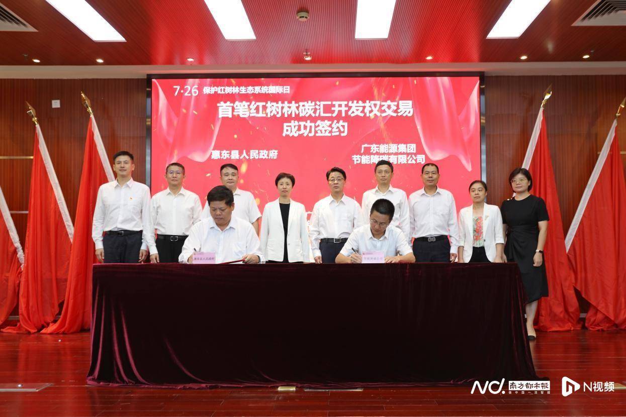 总量最大、数额最高！广东完成全国首宗红树林碳汇开发权交易