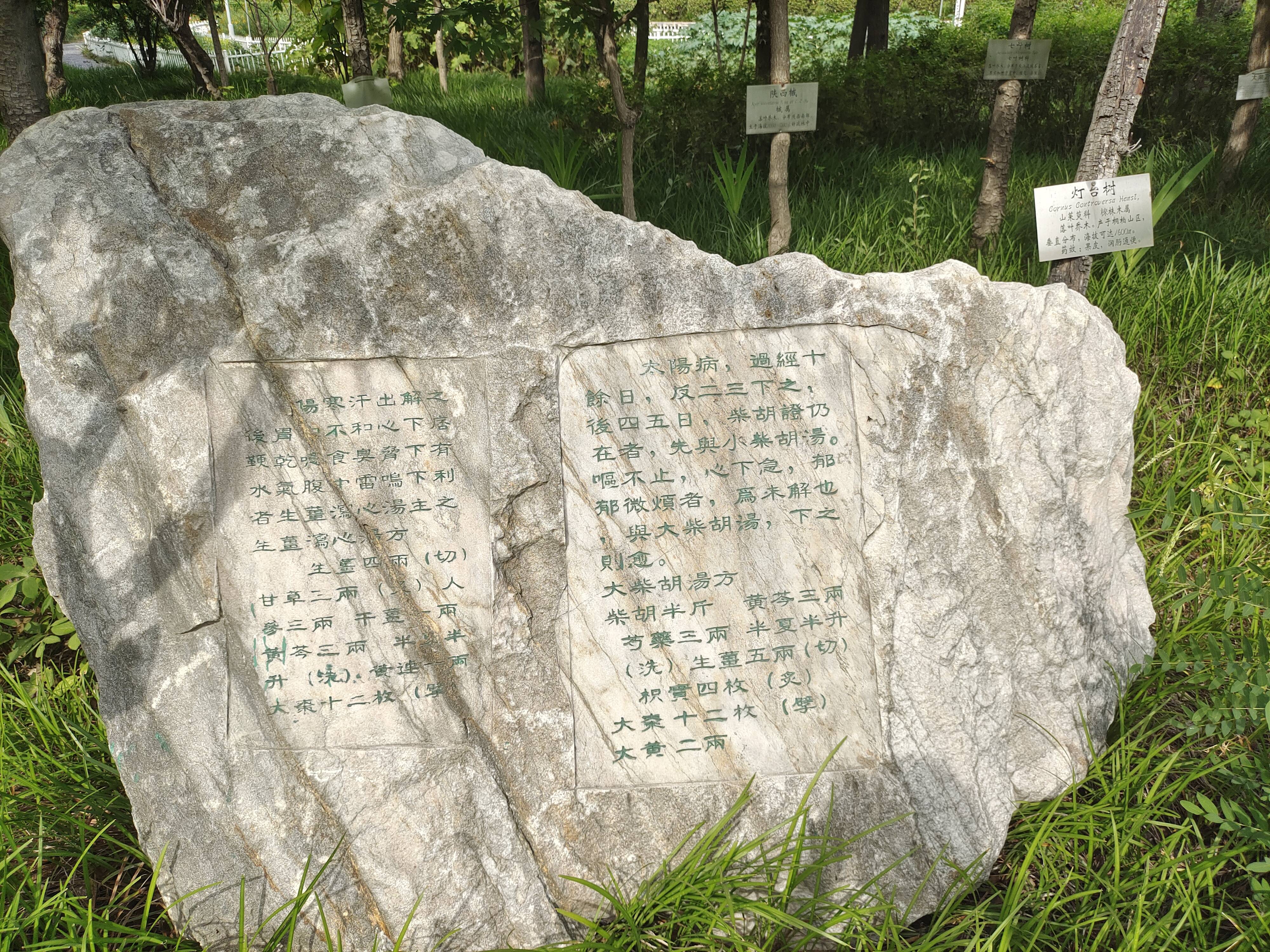 南阳滋养堂国医学校的就业前景