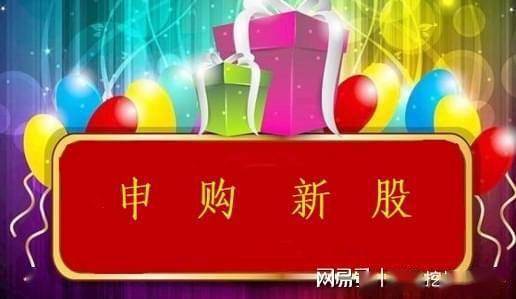 新股博实结发行申购，发行价44.50元，股民打新遇难题！