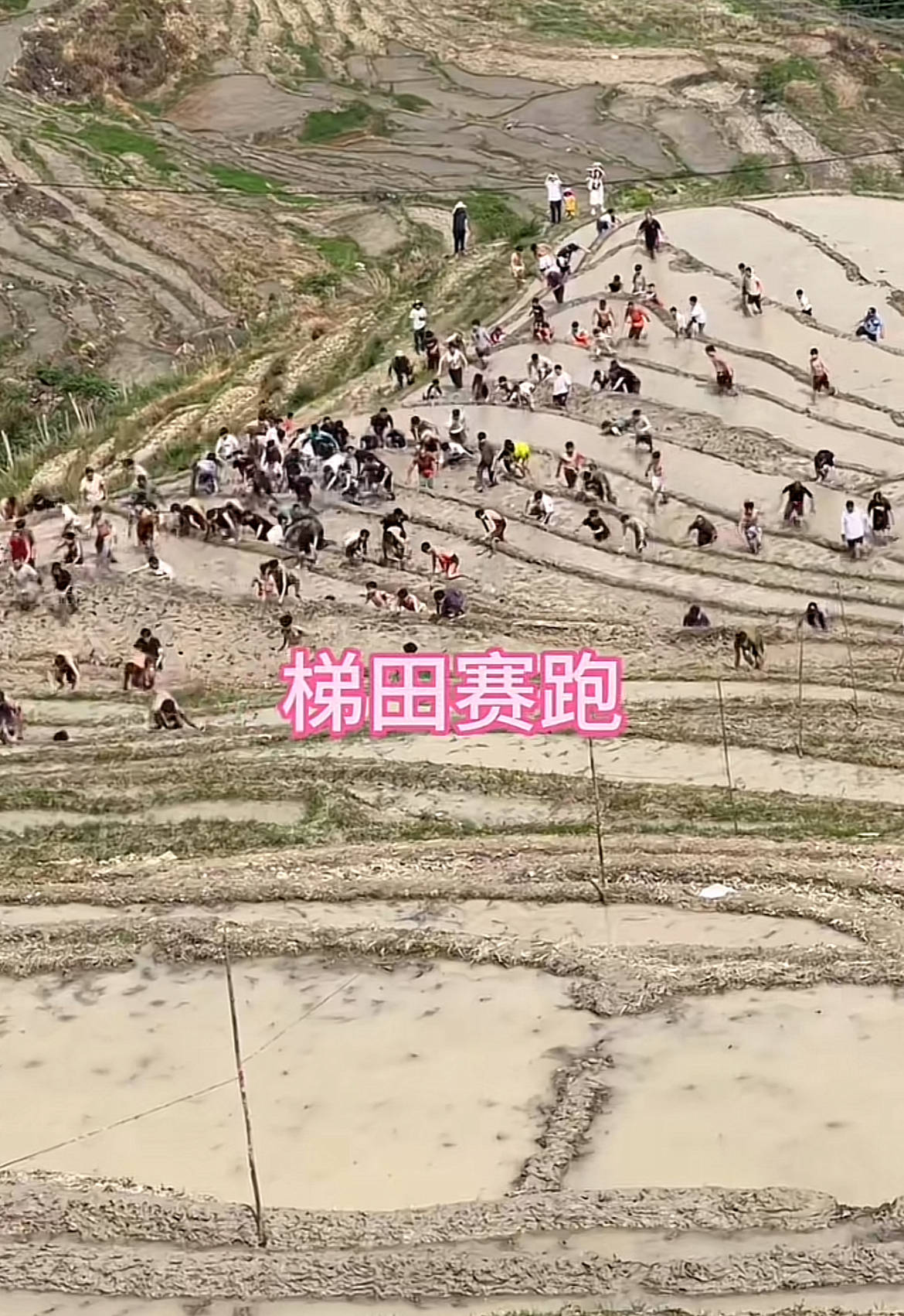 桂林一景区回应爬梯田比赛前两名半坡起跑作弊：游客赛前试爬后躺半坡，工作人员没发现