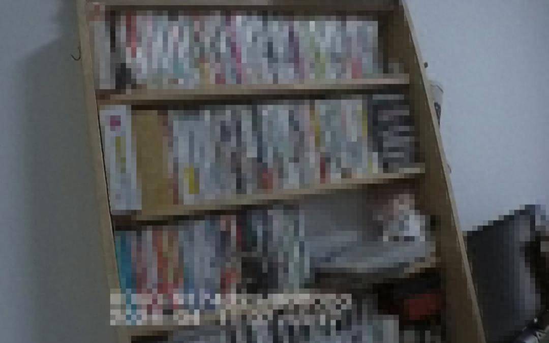 女子走私2000多本淫秽漫画获刑