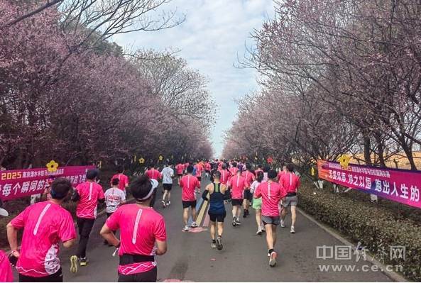 马拉松不能偏离专业规范的“赛道”